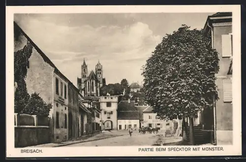 AK Breisach, Strasse am Specktor mit Münster