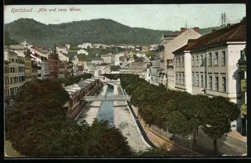 AK Karlsbad, Alte und neue Wiese