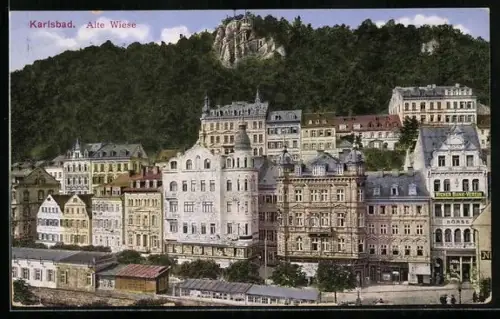 AK Karlsbad, Alte Wiese