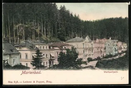 AK Marienbad, Waldquellzeile