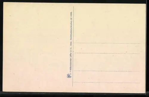 Künstler-AK Franzensbad, Teilansicht mit Strassenpartien