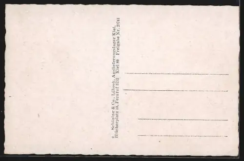 AK Kiel, Strassenpartie am Schlossgarten