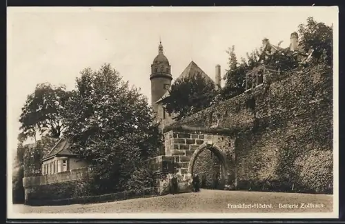 AK Frankfurt-Höchst., Partie mit Batterie Zollhaus