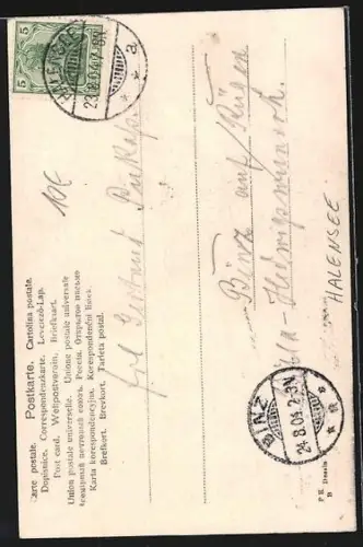 AK Berlin-Halensee, Terrassen am Halensee, Kurfürstendamm 124 a