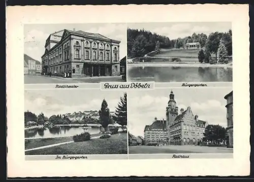 AK Döbeln, Stadttheater, Rathaus, Bürgergarten