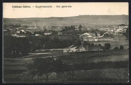 AK Château-Salins, Vue générale du village et des collines environnantes