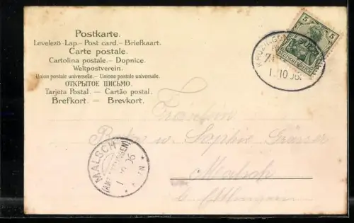 Lithographie Schwarzwälderin, Gutaherin, Markgräflerin und St. Georgerin in Tracht