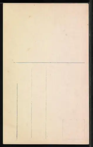 Foto-AK NPG Nr. 2703: Junge Frau mit Blumen im Haar