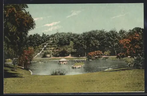 AK Aelxandria, Jardin Nouzba