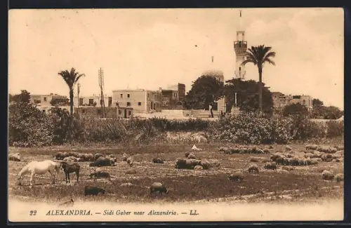 AK Alexandria, Sidi Gaber