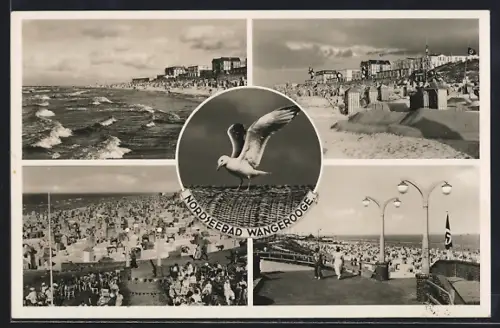 AK Wangerooge, Strandansicht, Promenade am Strand, 