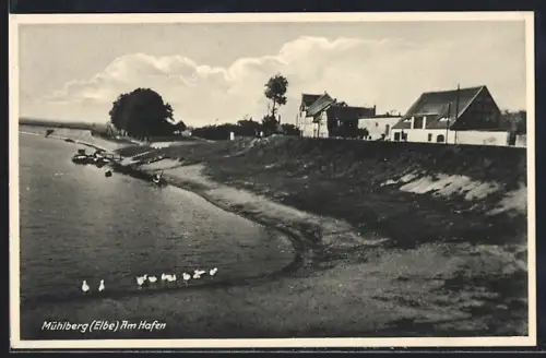 AK Mühlberg /Elbe, Am Hafen