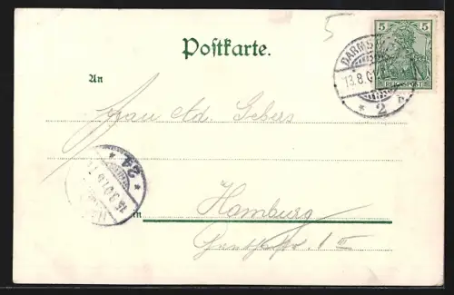 Lithographie Darmstadt /Gr.-H., Marktplatz mit Brunnen, Alpenblumen, Passepartout