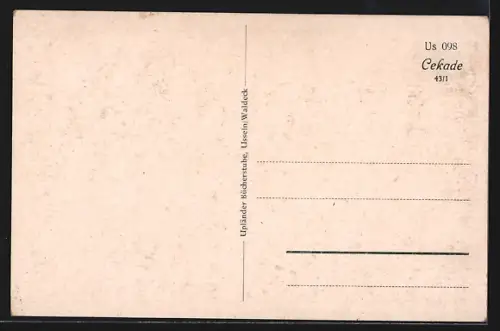 AK Usseln /Waldeck, Teilansicht mit Strassenpartie