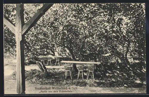 AK Westerland a. Sylt, Partie aus dem Friesenhain