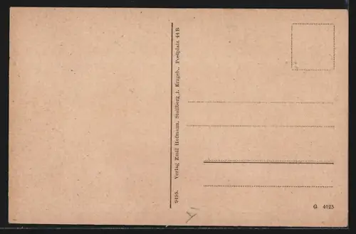 AK Stollberg i. Erzg., Markt und Rathaus