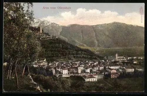 AK Arco, Ortsansicht vom Olivenhain aus
