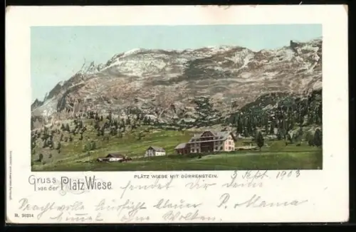 AK Plätzwiese, Ortspartie mit Dürrenstein