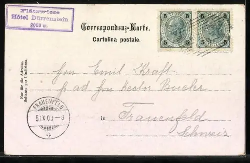 AK Plätzwiese, Ortspartie mit Dürrenstein