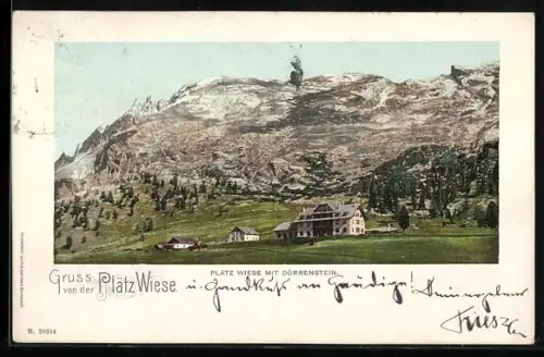 AK Plätzwiese, Ortspartie mit Dürrenstein