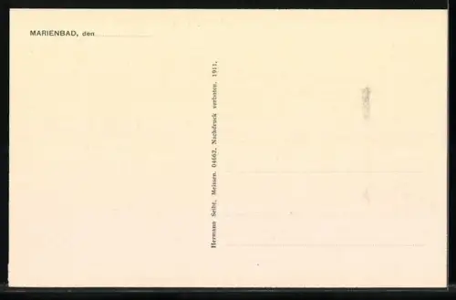 AK Marienbad, Panorama mit Strassenpartie
