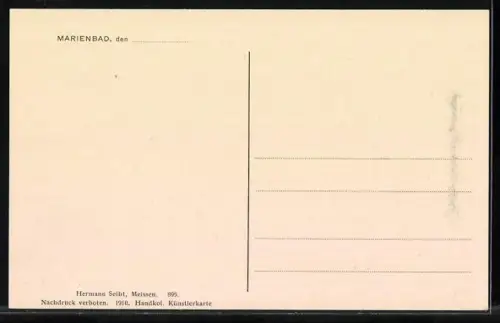 AK Marienbad, Blick vom Cafe Egerländer über Marienbad