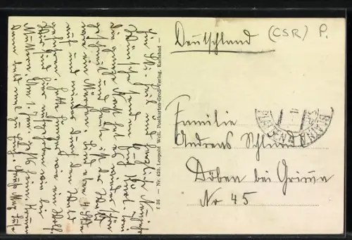 AK Platten /Erzgebirge, Teilansicht im Winter