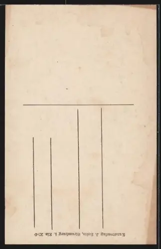 AK Breisach, Blick auf die untere Stadt vom Hagenbach