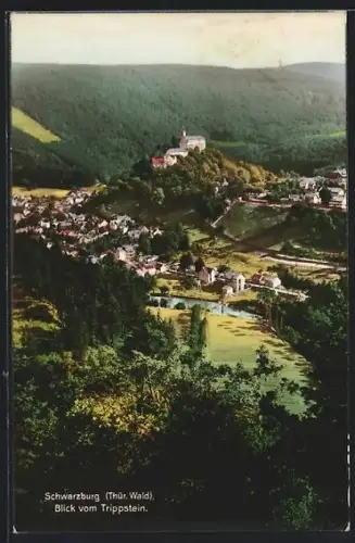 AK Schwarzburg /Thür. Wald, Blick vom Trippstein