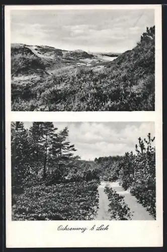AK Leck, Ochsenweg, Heidelandschaft