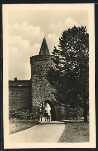 AK Cottbus, Alte Stadtmauer
