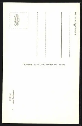 AK Cottbus, Alte Stadtmauer