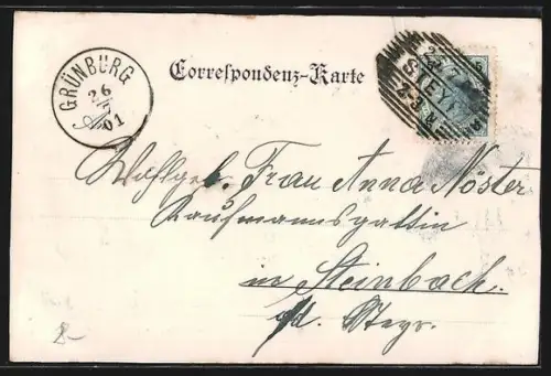 Künstler-AK Linz, Landstrasse am Volksgarten mit Strassenbahn