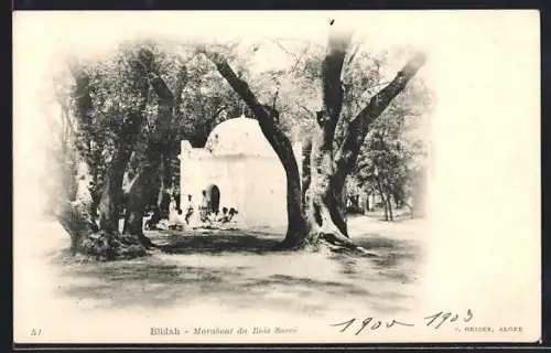 AK Blidah, Marabout du Bois Sacré