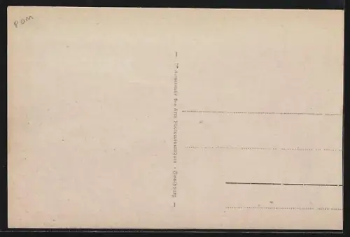 AK Oran, Promenade de Létang