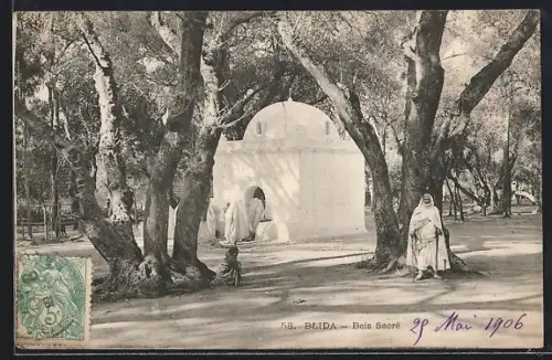 AK Blida, Bois Sacré