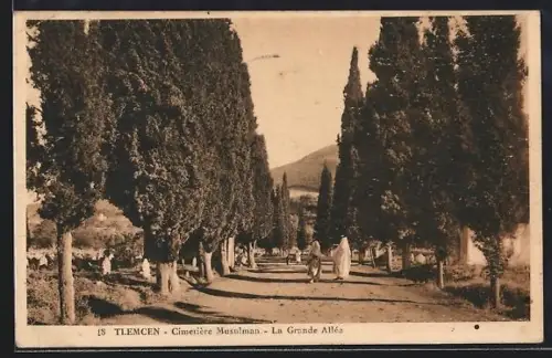 AK Tlemcen, Cimetière Musulman, La Grande Allée