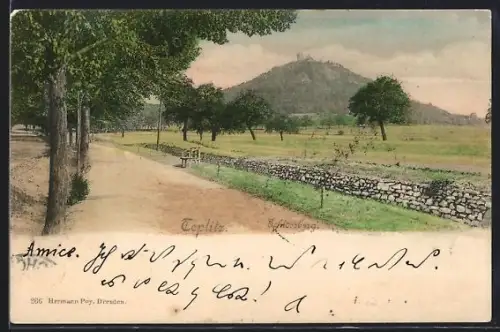 AK Teplitz, Ortspartie mit Strasse