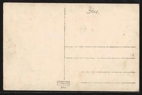 AK Aussig a. d. E., Panorama mit Kirche