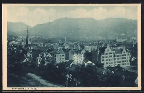 AK Bodenbach a. d. Elbe, Panorama mit Kirche