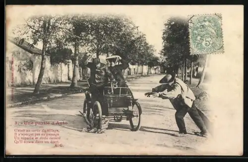 AK Autofahrer überfährt des Bauern Gans