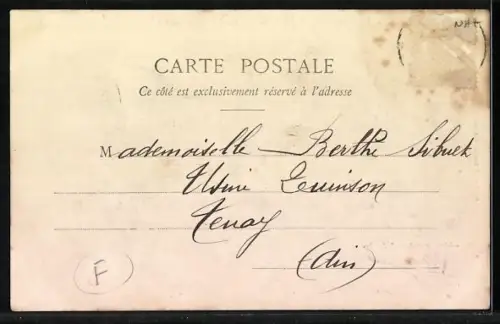 AK Autofahrer überfährt des Bauern Gans