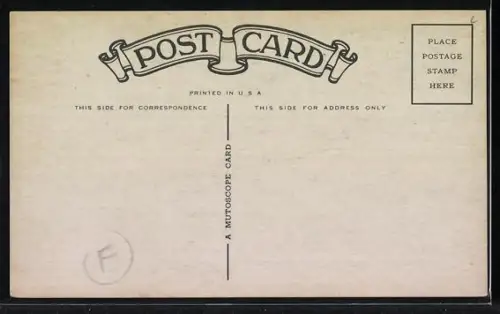 AK Corsair XF4U-1 of the U.S. Navy, Flugzeug