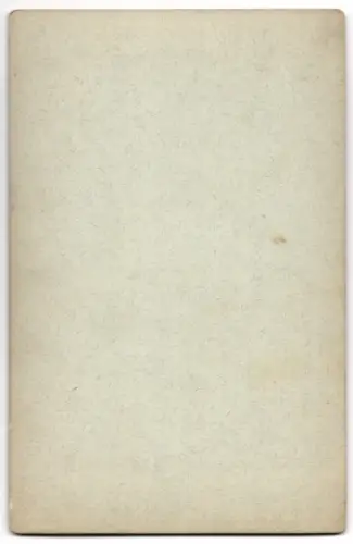 Fotografie C. R. Stolle, Harzburg, Ansicht Bad Harzburg, der Harzburger Wasserfall