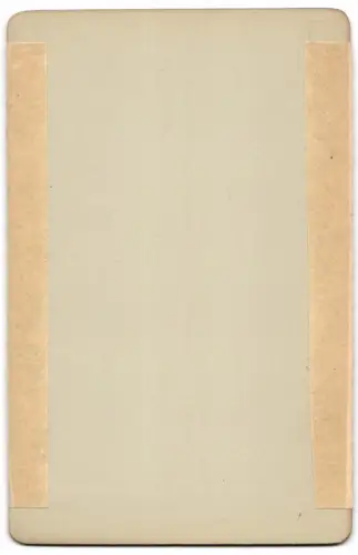 Fotografie Römmler & Jonas, Dresden, Ansicht Wien, das Christinen-Denkmal