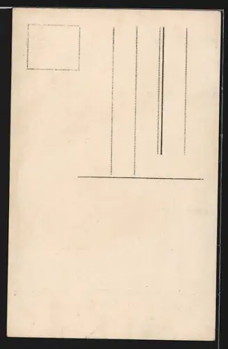 AK Stein a. Rh., Schwalbengesellschaft Hotel zur Krone, Bregenz, Kegelasuflug