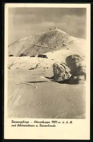 AK Schlesierhaus /Schneekoppe, Schlesierhaus und Riesenbaude im Schnee