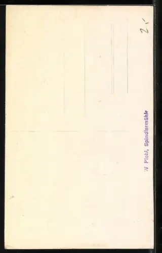 AK Schneegrubenbaude, Blick zur Berghütte