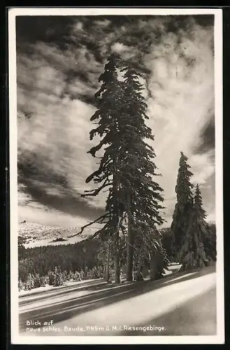 AK Neue schles. Baude i. Riesengebirge, Blick auf die neue schles. Baude