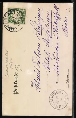 Foto-AK Steisslingen, Jagdhütte von Freiherr Albrecht von Stotzingen, Karte von seiner Gattin Elisabeth Sophie